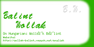 balint wollak business card